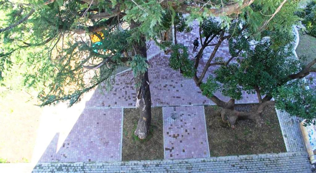 Batumi Flats Διαμέρισμα Εξωτερικό φωτογραφία